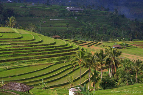 North of Bali: Private Tour with UNESCO World Heritage site Private Tour : Ticket Excluded