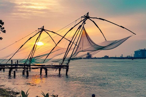 Kochi Airport: Private Half-Day Guided Layover Tour