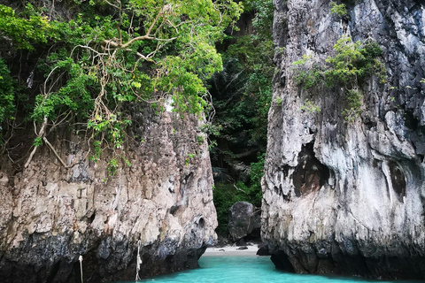 Phi Phi Día Completo en Longtail con Puesta de Sol y Excursión de Plancton