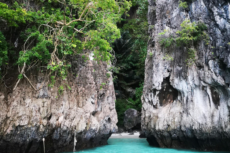 Phi Phi Día Completo en Longtail con Puesta de Sol y Excursión de Plancton