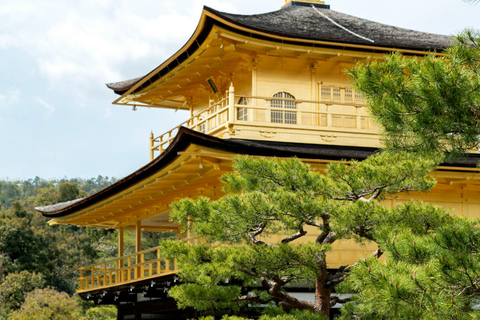 Kyoto: Private Guided Tour With Vehicle and Optional Add-Ons