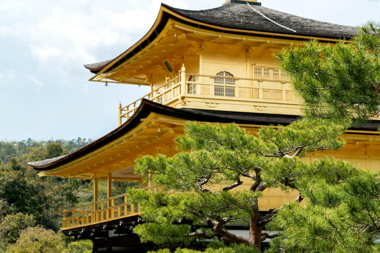 Kyoto: Private Guided Tour With Vehicle and Optional Add-Ons