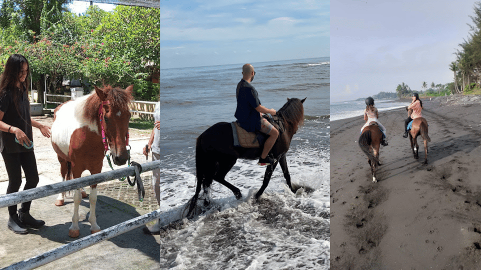 Ubud 1 Hour Beach Horse Riding with Transfer GetYourGuide