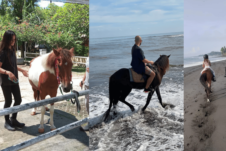 Ubud: 1 Hour Countryside Beach Horse Riding with Transfer Ubud: 1 Hour Countryside Horse Riding with Rice Field View