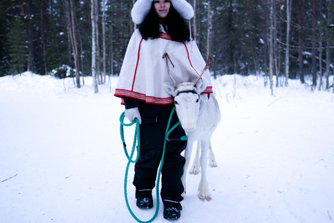 Levi: Enchanted 1.5km Forest Reindeer Sleigh Ride