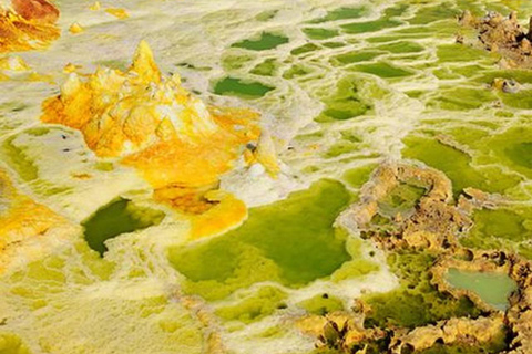 Mekele: Guided Dallol Danakil Depression Tour with Lunch