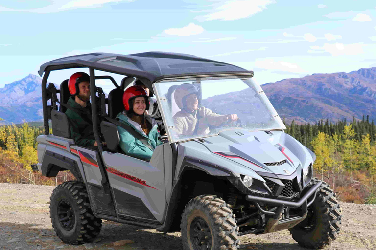 Denali ATV Wilderness Adventure - Guided ATV Tour Enclosed Side by Side ATV - 2 passengers