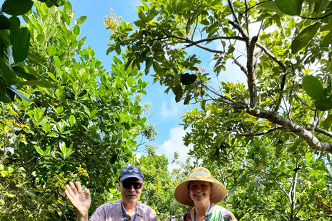 Excursión de 2 días por el Delta del Mekong :Explora el Mercado Flotante de Cai Rang