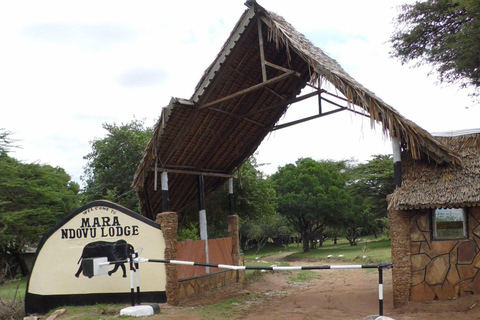 From Nairobi: Masai Mara 3-day Camping Safari by Jeep