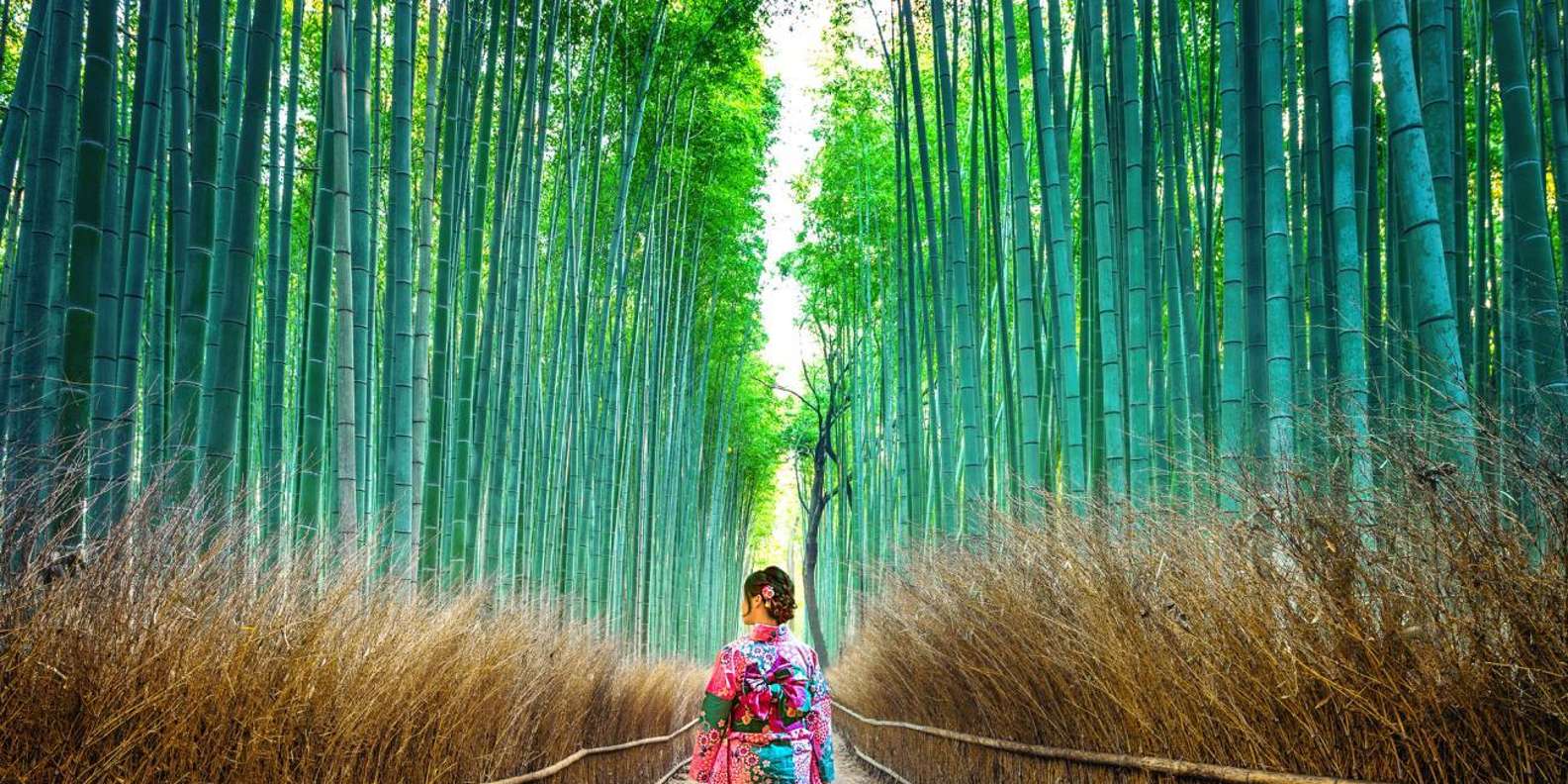 Kyoto: Private Customizable Day Tour with Guide and Vehicle