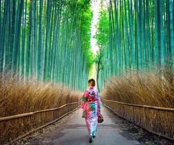 Kyoto: Private Customizable Day Tour with Guide and Vehicle