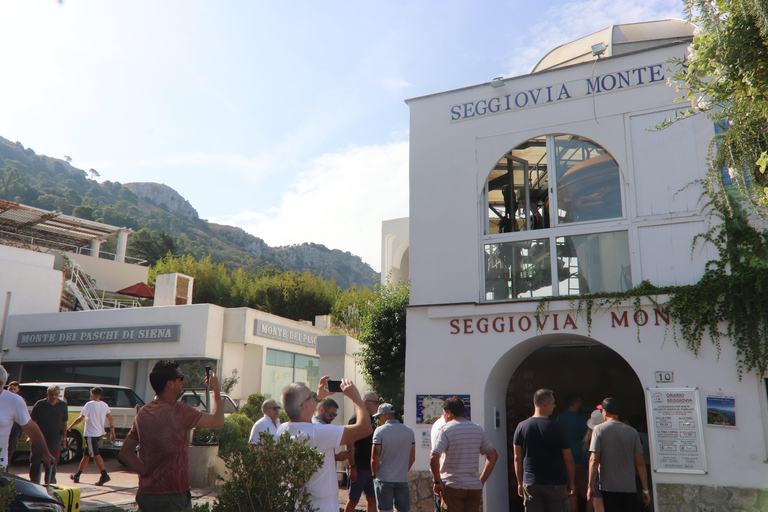 Tour di Capri e Anacapri: Faraglioni e Grotte da Sorrento