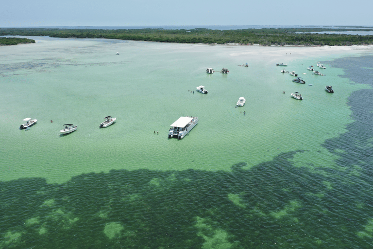 Familj Sandbar äventyr: Slappna av på våra fantastiska sandbankar!