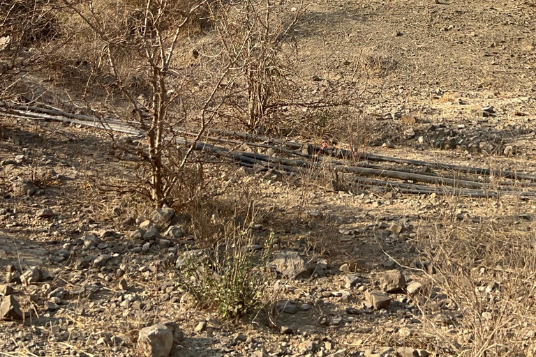 Hike to Hidden Waterfalls – Ayn Ghedh Adventure