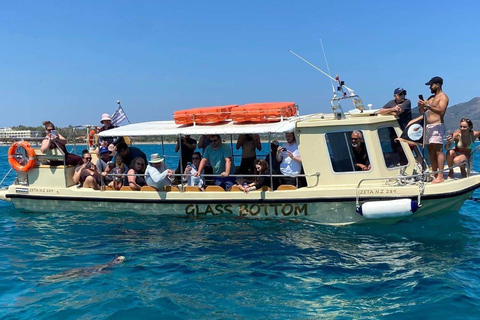 Boottochtjes met glazen boot om schildpadden te spotten