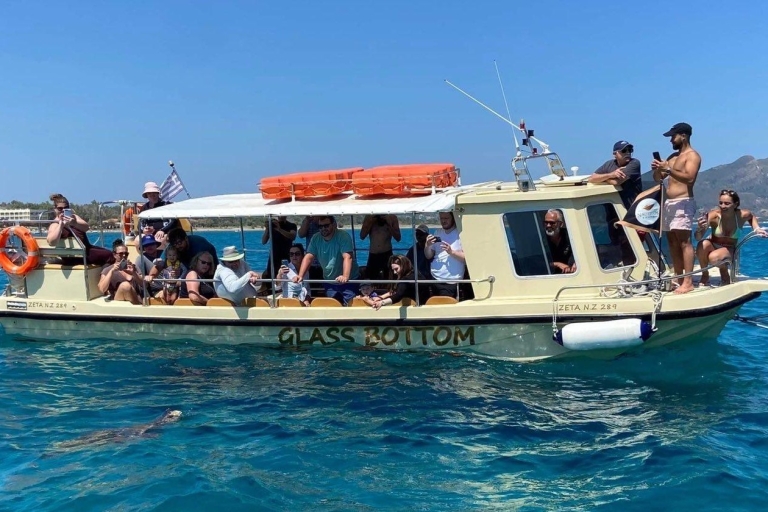 Glass boat cruises to spot turtles