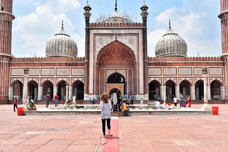 Private Delhi Sightseeing Tour van een hele dag met de auto