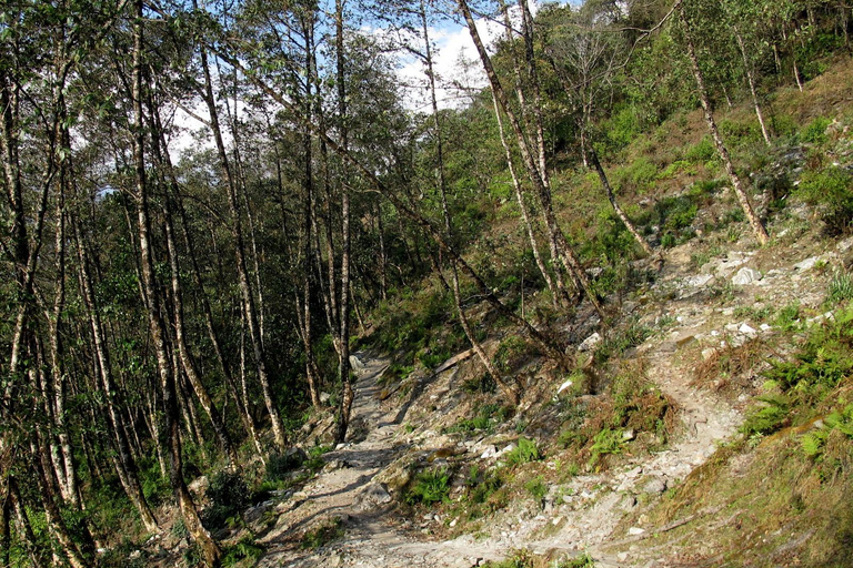 Trek du camp de base de l&#039;Annapurna