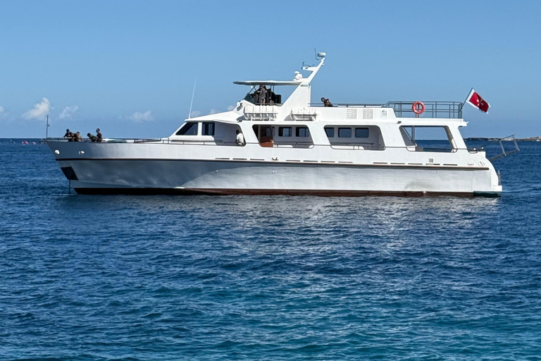 Full Day Round Malta Boat Trip — Hot Lunch & Swimming Stops