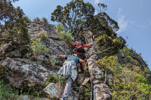 Da Kandy: escursione alle cime gemelle di Kanawiddagala e YahangalaDa Kandy: escursione alle due cime gemelle di Kanawiddagala e Yahangala