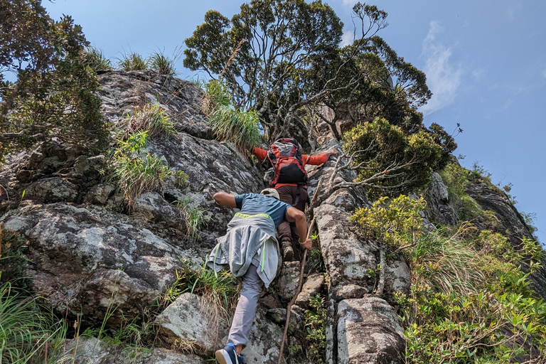 Da Kandy: escursione alle cime gemelle di Kanawiddagala e YahangalaDa Kandy: escursione alle due cime gemelle di Kanawiddagala e Yahangala