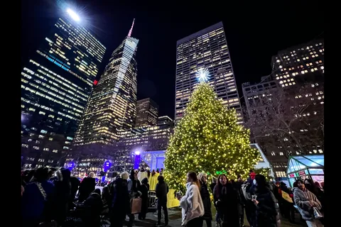New York: Tur med juletræer og julelys