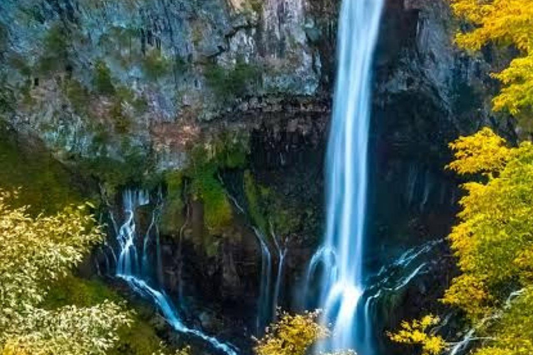 From Tokyo To Nikko Private Day Tour With English Guide