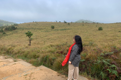 Excursão de 2 dias a Ella: Cataratas de Diyaluma, planícies de Horton e comboio panorâmico