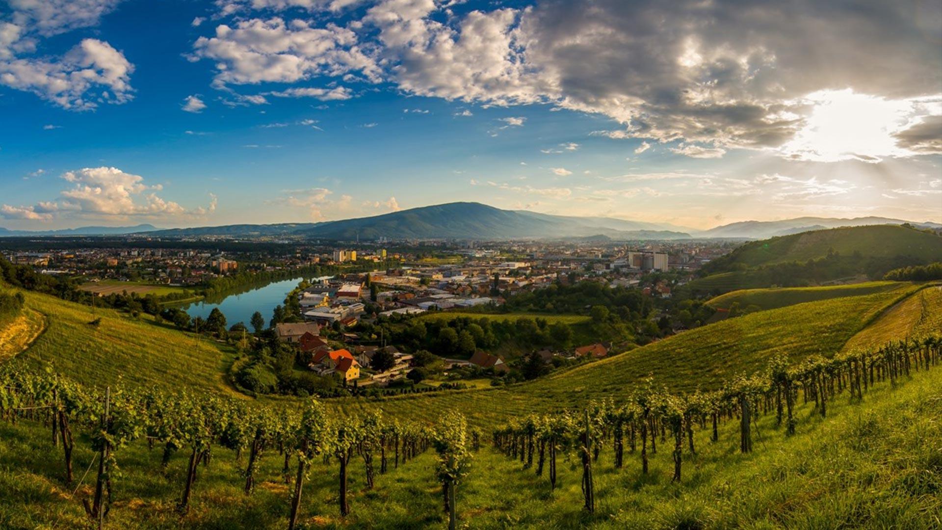 Ab Wien: Zweiländer-Tagestour nach Graz & Maribor