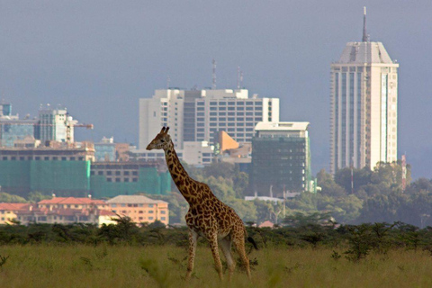 Transfert de l'aéroport de Nairobi à la ville