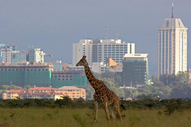 مطار نيروبي إلى نقل المدينةنقل من مدينة نيروبي إلى مطار نيروبي الدولي