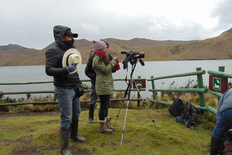 Antisana Nationaal Park - Andes Condor spotten