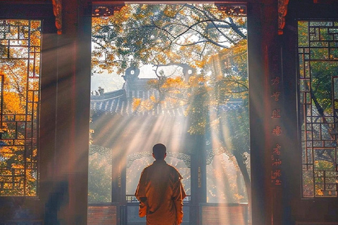 Henan: Shaolin Temple Entry Ticket and Kung Fu Show Tips