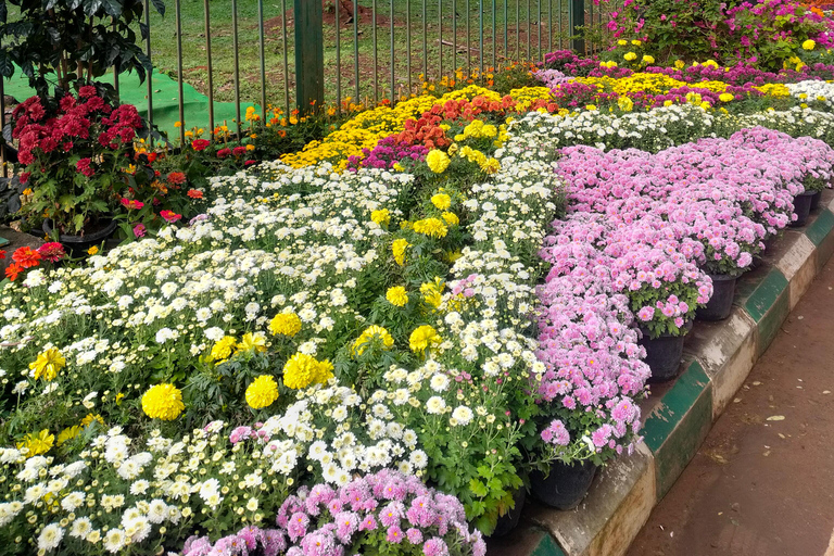 Bengaluru: Rundvandring i Cubbon Park