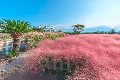 Jeju: All Pass Save on Attractions & Experiences (24/48/72h) Mobile pass · 48-hour