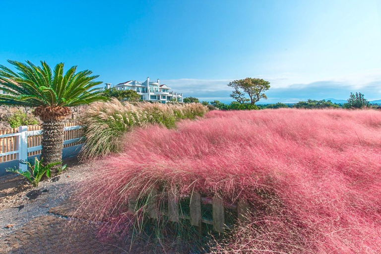 Jeju: All Pass Save on Attractions & Experiences (24/48/72h) Mobile pass · 48-hour