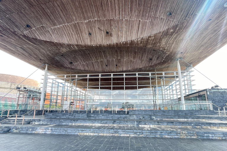 كارديف: جولة سيرا على الأقدام في خليج كارديف مع دكتور هو