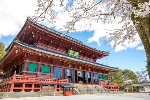 From Tokyo: Nikko Toshogu Shrine and Lake Chuzenji Day Trip 8:30 am MODE Gakuen, Shinjuku