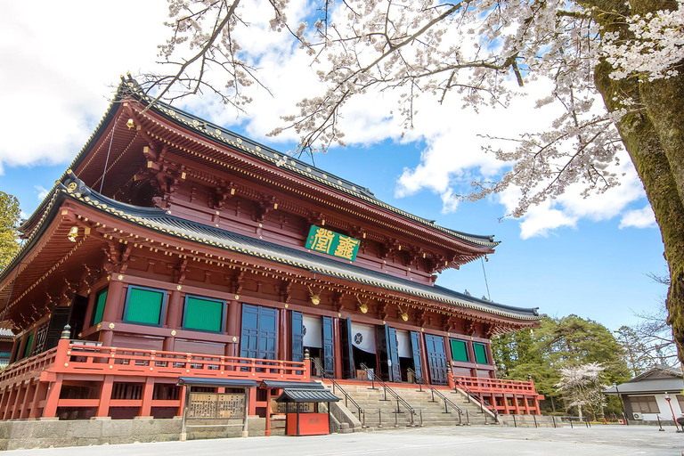 From Tokyo: Nikko Toshogu Shrine and Lake Chuzenji Day Trip Private Sightseeing Tours