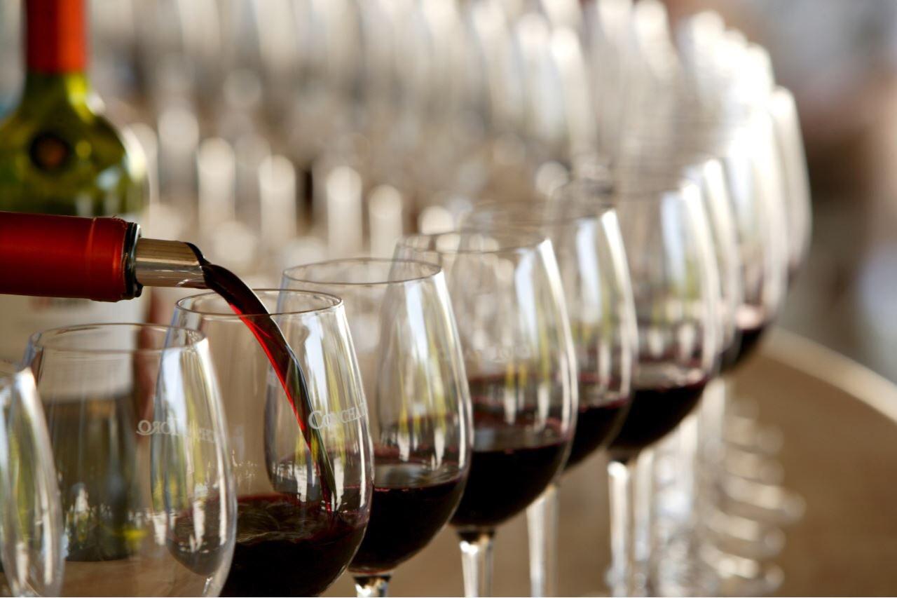 Concha y Toro Tour
