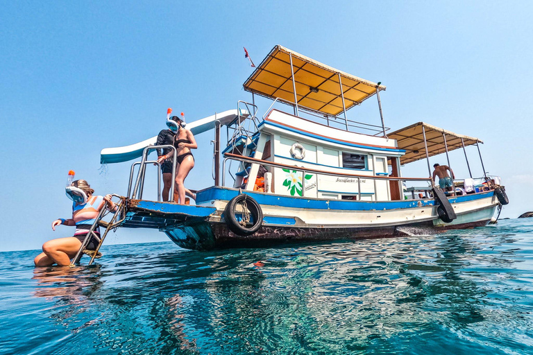 Koh Tao: Premium Snorkel Tour to Koh Nangyuan Bays by Oxygen