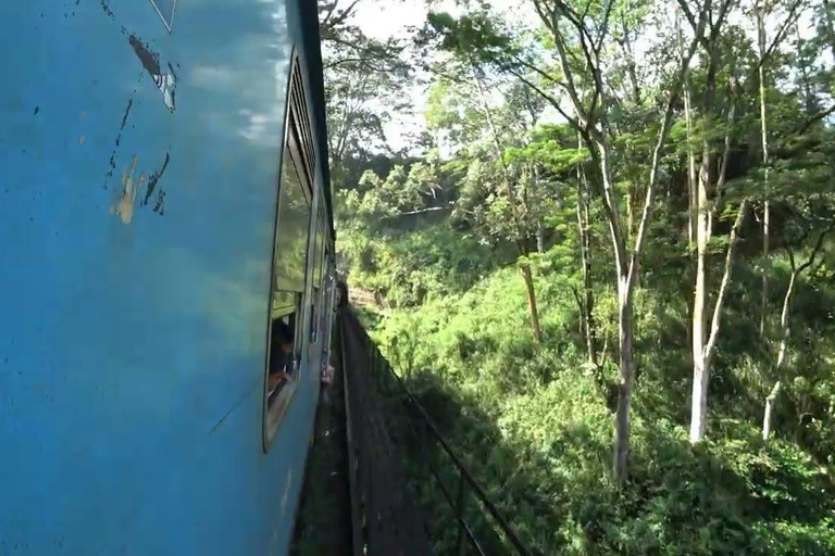 Ambewela to Ella: Scenic Train Ride for Photography Lovers Ambewela to Ella: Scenic Train Ride in 3rd Class cabin