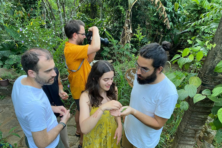 إيلا: جولة في حديقة التوابل Nine Arch مع غداء تقليدي