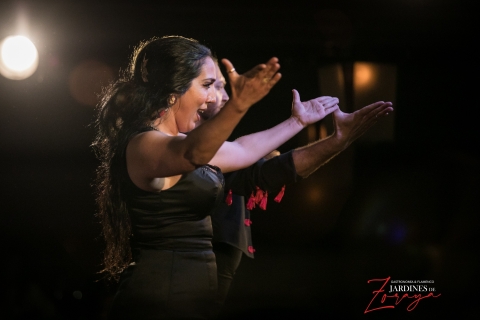 Granada: espectáculo flamenco en el AlbaicínGranada: espectáculo flamenco