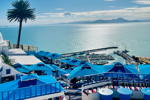 From Tunis & Hammamet: Bardo, Carthage & Sidi Bou Said