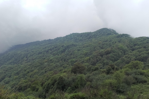 Explorer le Mardi Himal : Un trek de 5 jours Points forts de l&#039;observation des oiseaux