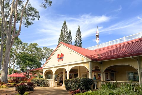 Oahu: Dole Plantation, Rum Tasting, and 3 Zipline Tour | GetYourGuide