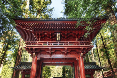 From Tokyo: Nikko Private Tour with Toshogu Shrine & Falls