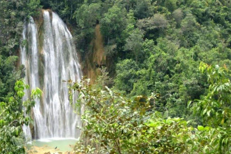 Privat: Punta Cana Whale Watching Bacardí Island AbenteuerPunta Cana: Whale Watching auf der Insel Bacardí