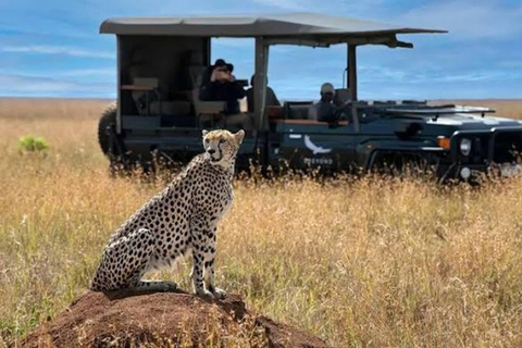 From Zanzibar: 3-Day Nyerere National Park Safari by Flight 3-Day Nyerere Safari From Zanzibar by Flight & Night Drive